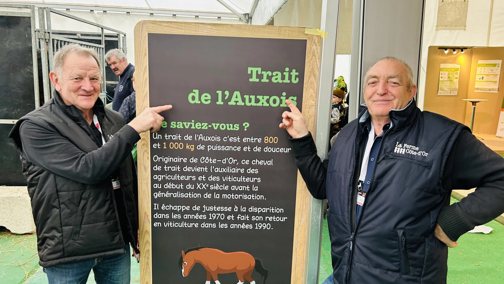 Une chance sur deux