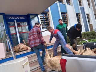 Les éleveurs excédés réclament une commission de recours
