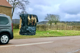 « Nous ne faisons pas ce métier pour voir ça »