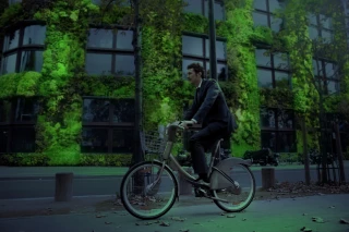 Plus belle la nuit avec les plantes bioluminescentes