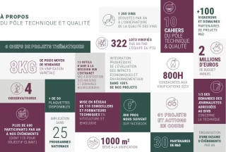 Des « influenceurs » techniques