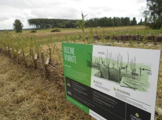 Haies bocagères : des plantations accompagnées