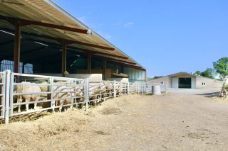 Visiter pour décider