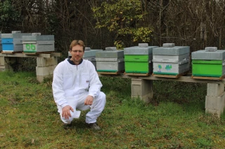 Apiculture