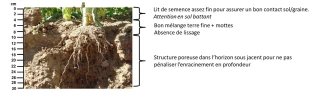 La réussite commence par un travail du sol raisonné