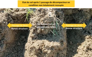 Bilan des expérimentations menées en 2024