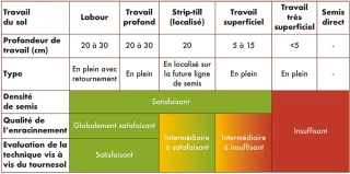 Adaptation du tournesol aux différents modes d’implantation.