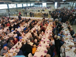 Les coulisses de l'organisation