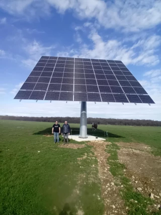 Un drôle de tournesol