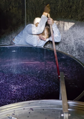 La femme est l’avenir du vin