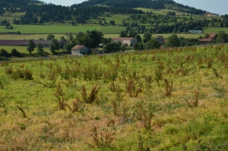 Dérogation de 120 jours Nirvana S