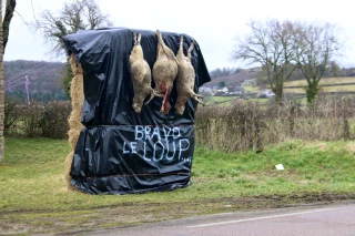 L'élevage dans l'impasse ? 