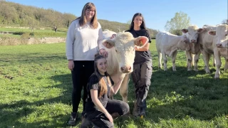 Beau travail, les filles