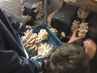 20 sur 20 en champignons !