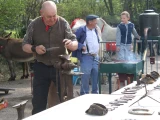 Marché de producteurs