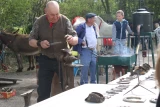 Marché de producteurs