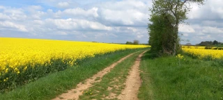 Le secteur se montre résilient