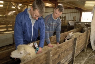 35 millions d'euros de fonds européens mobilisés par la Région BFC pour soutenir les agriculteurs