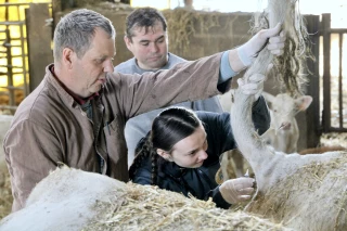 Des vacances instructives