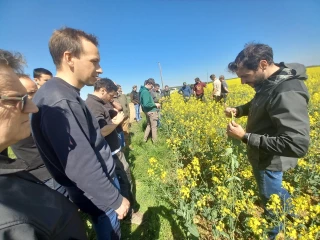 Un tour de plaine très collectif