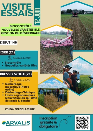 Essais variétaux et conduites culturales à la loupe avec Arvalis