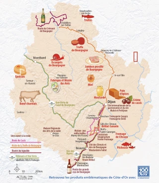 Le cassis a sa route en Côte-d'Or