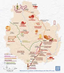 Le cassis a sa route en Côte-d'Or