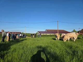 Acheter en commun, ça vous dit ?