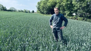 L'espoir d'une belle moisson