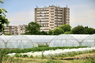 Deuxième forme d'une coopération