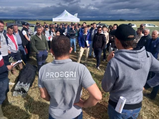 Entre résilience et pertinence économique