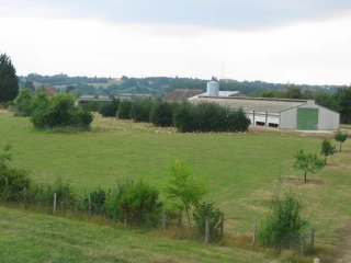 Des haies autour des bâtiments pour réduire les aléas climatiques