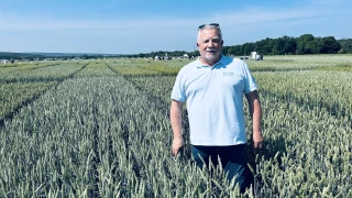 Tour d'horizon avant la moisson