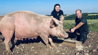 Un projet en route à Darcey
