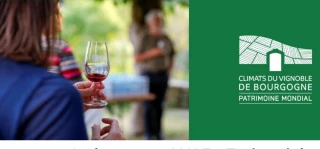 Testez les apéros avec VUE