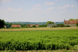 Se diversifier avec attention