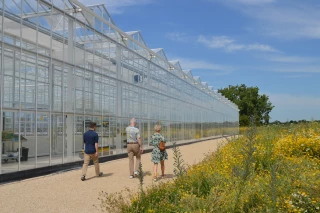 Qanopée, le coffre fort de la vigne du futur