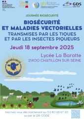 On y va, vous venez ?