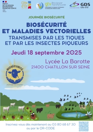 On y va, vous venez ?