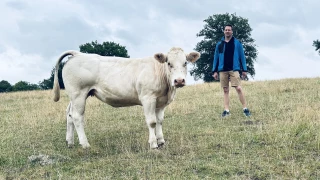L'envie de faire le plein