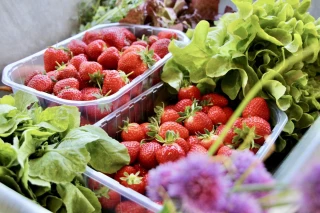 Développer l'accès au « bien manger »