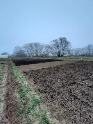 Retour sur la première année du projet MaFerSoL