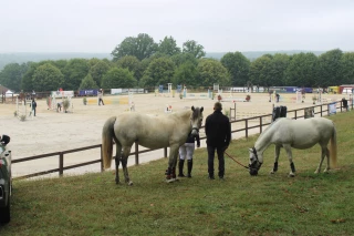 Concours équestre