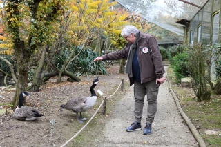 Les zoos, des élevages singuliers