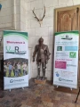 Groupama