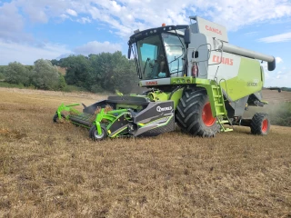 Le pick-up à tapis reprend la culture fauchée tout en douceur