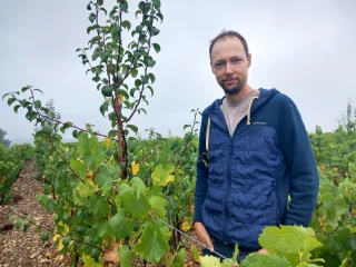 La vitiforesterie comme moyen de penser globalement ses vignes