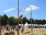 Fête de l'Agriculture