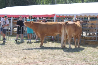 Fête de l'Agriculture