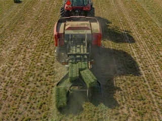 Massey Ferguson // Deux petites balles cubiques produites simultanément